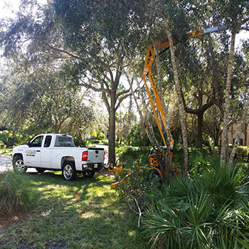A truck in the yard getting ready to install landscape lighting